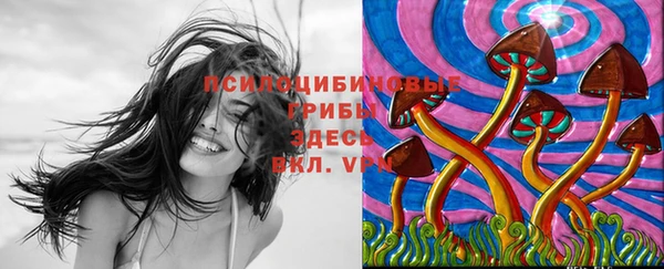 дурь Аркадак