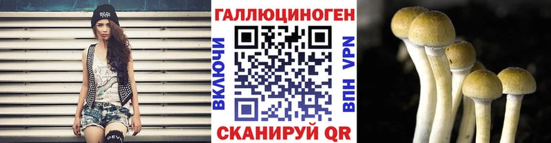 Галлюциногенные грибы Psilocybe  Усмань 
